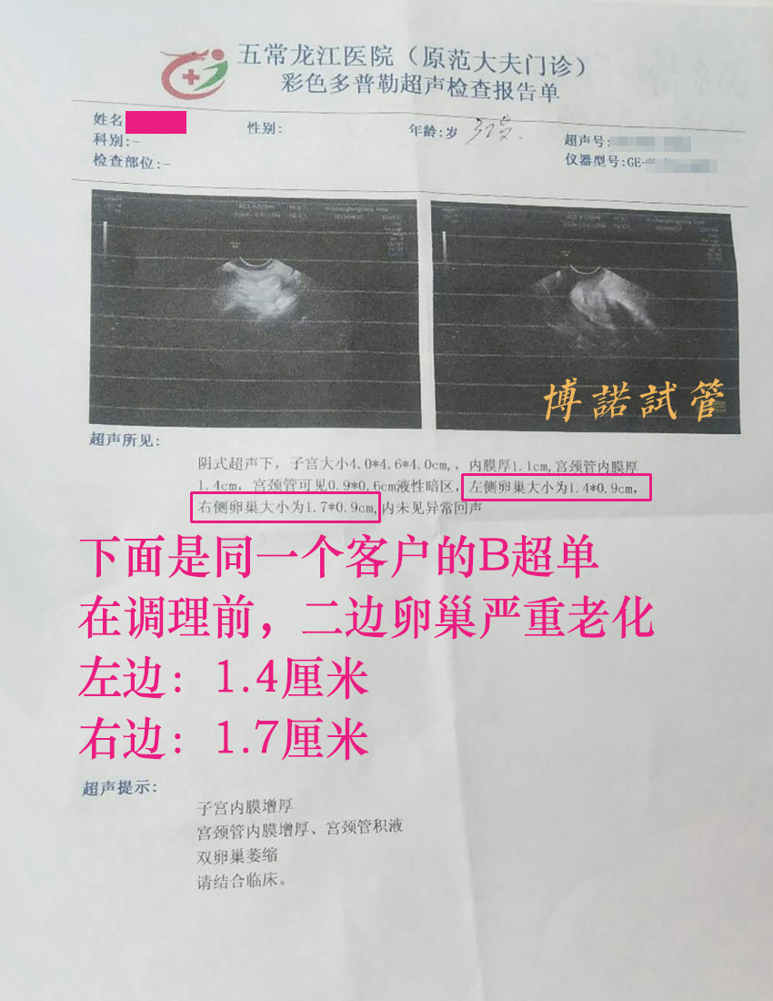 广州借卵成功率.jpg